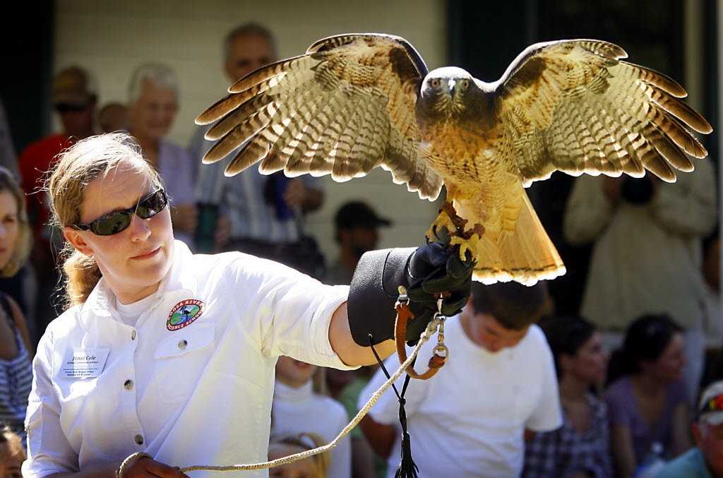 Alabama Coastal Birdfest 