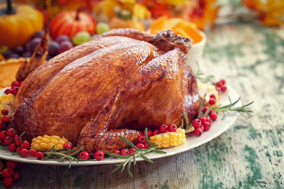 Thanksgiving Turkey holiday dinner